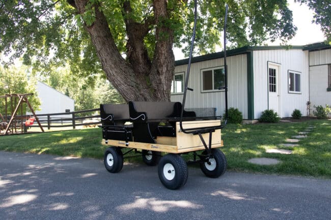Miniature Pony Carts - Everything You Need To Know