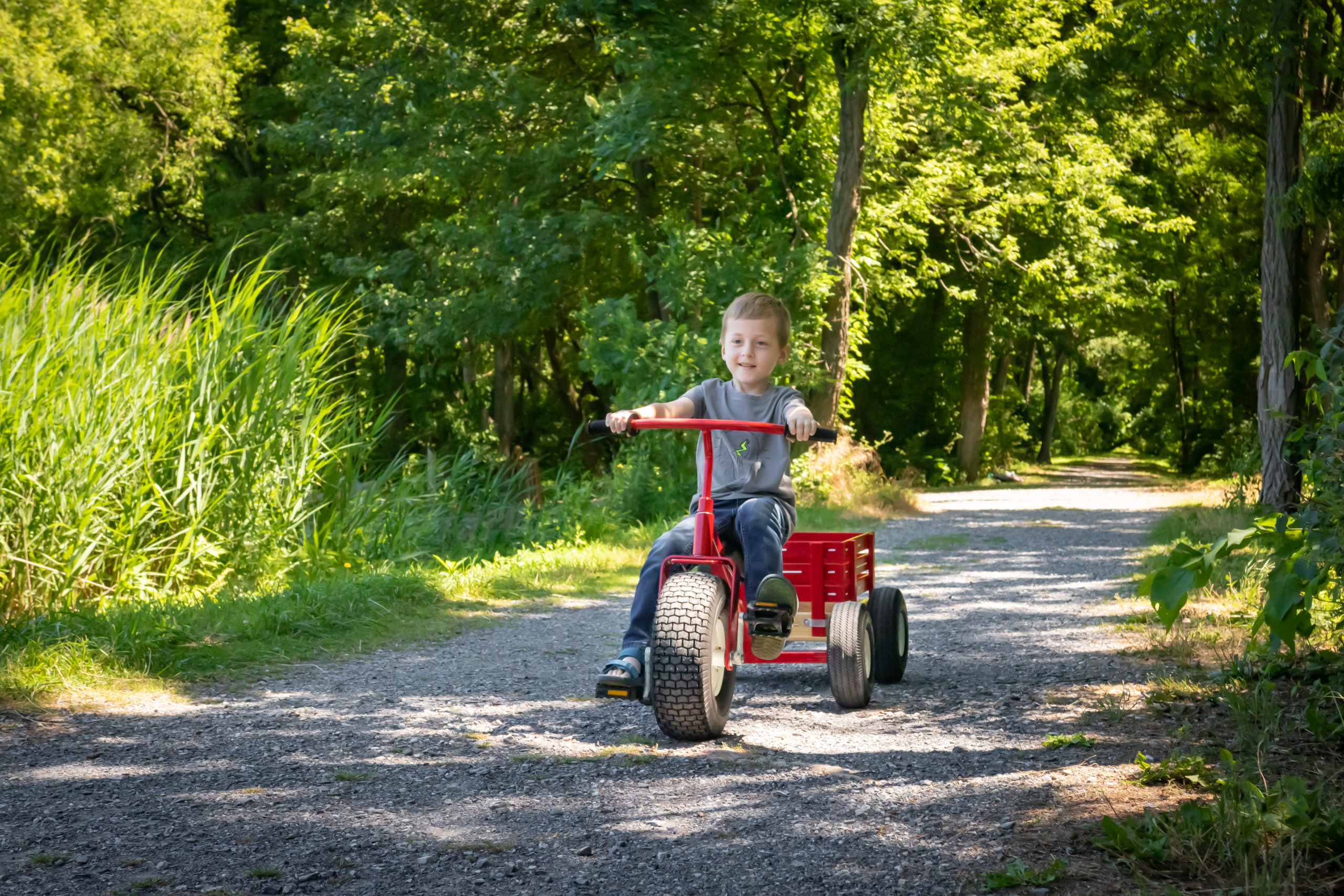 Best kids trike online