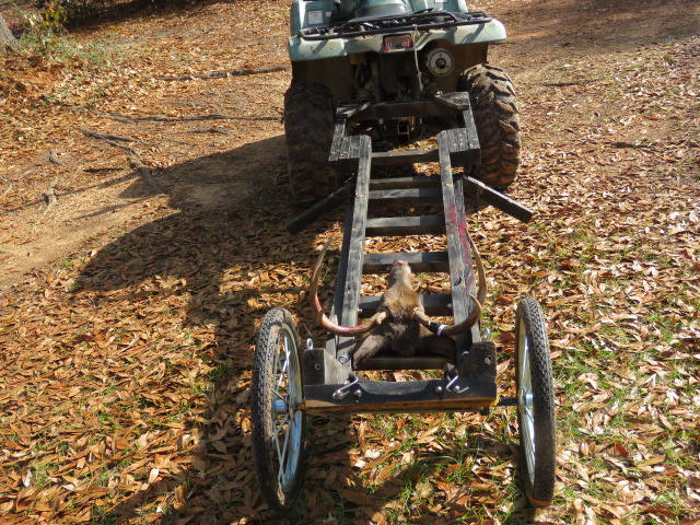 Pair Horse Cart Heavy Duty Bike Wheels 20x2.125, 5/8Axle, 3Hub w/